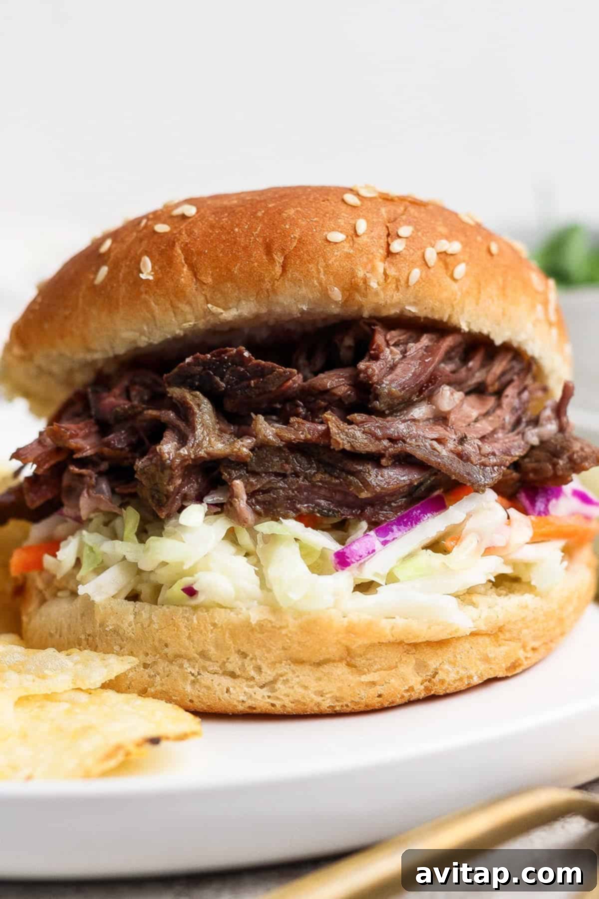 Shredded beef sandwich with coleslaw and potato chips