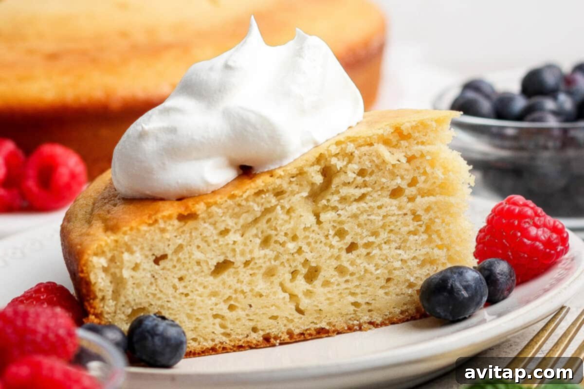 A delectable slice of yogurt cake topped with whipped cream, raspberries, and blueberries.