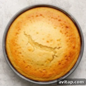 A round, golden-brown cake with a crack across the center sits in a metal baking pan on a light textured surface.