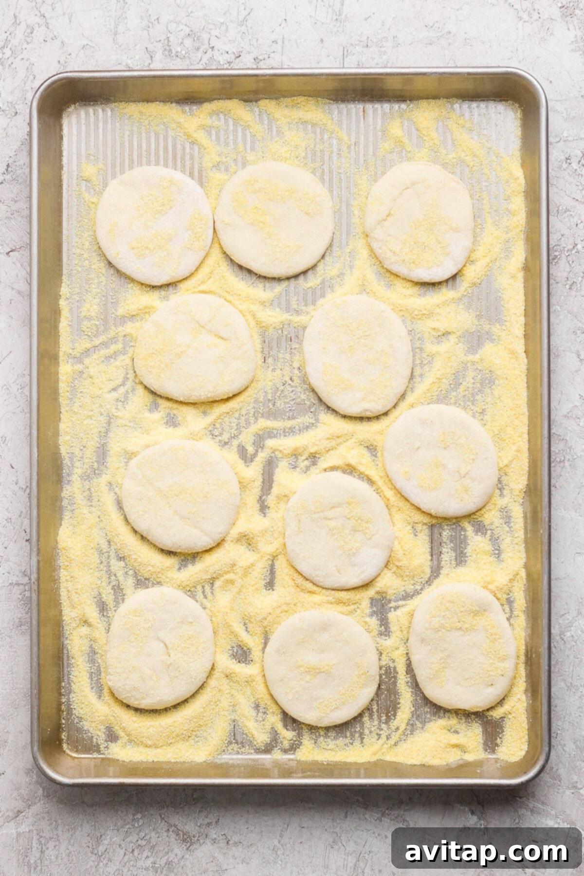A baking sheet with twelve round, uncooked dough pieces on a layer of cornmeal, ready to be baked.