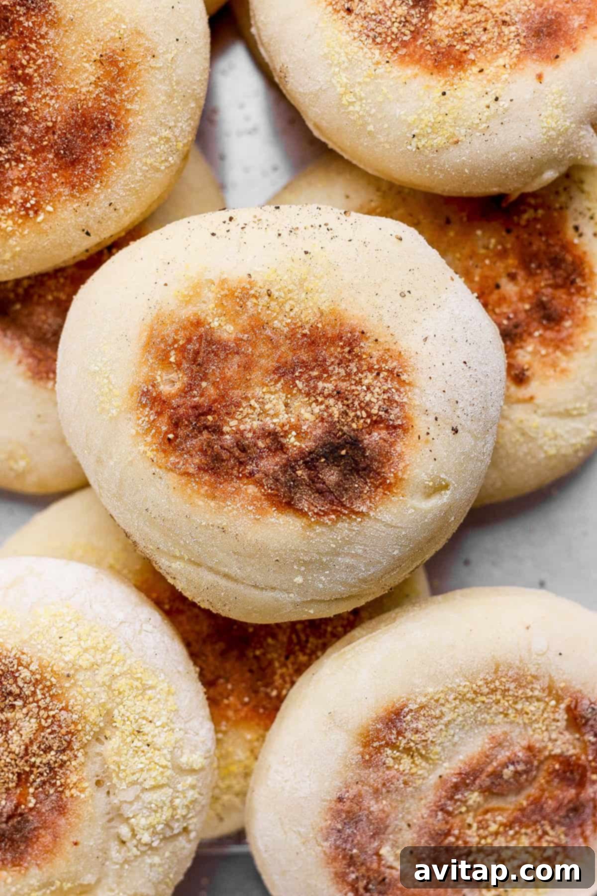 A close-up of several plain English muffins, lightly browned on top, stacked together with visible cornmeal on their surfaces.