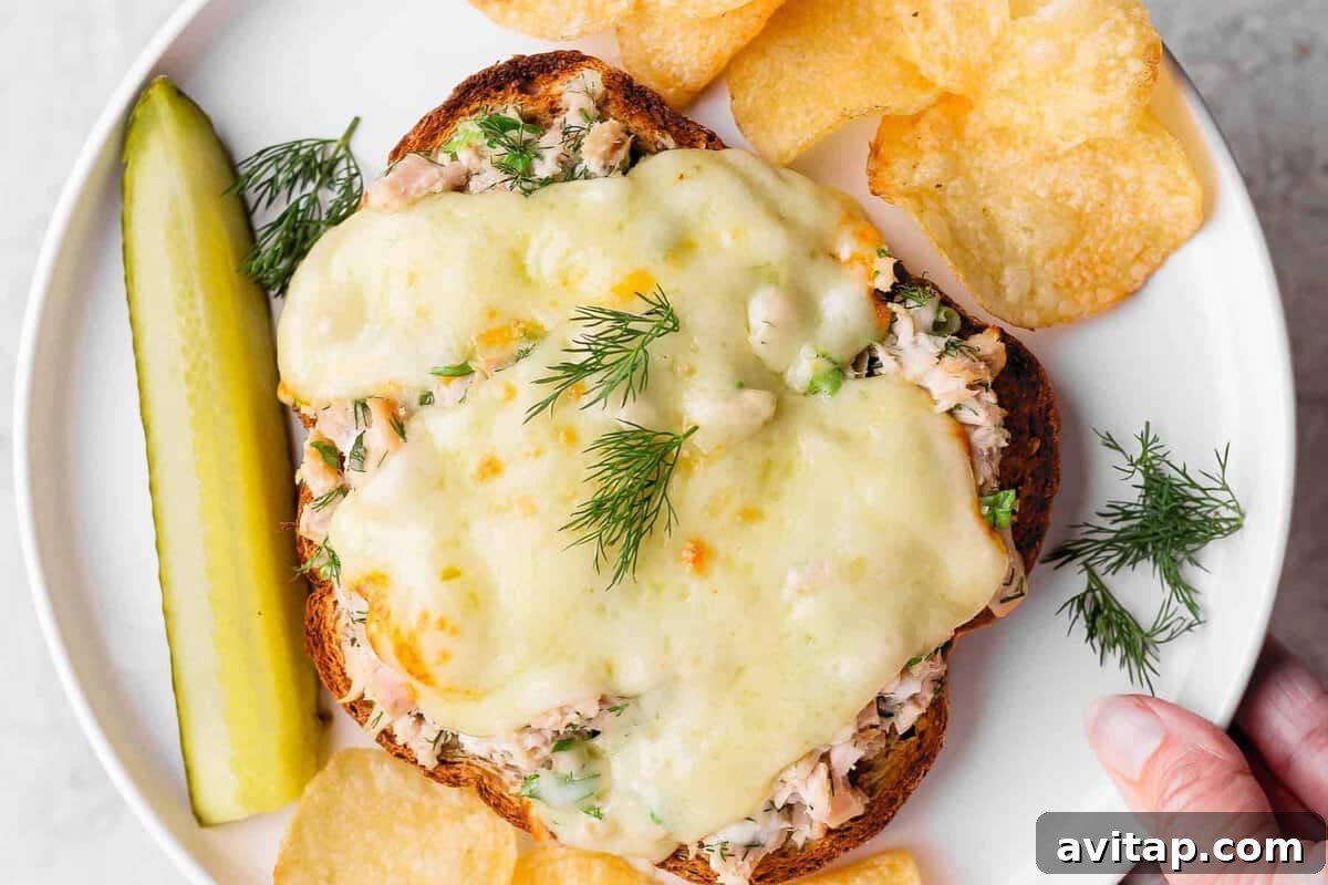 healthy tuna melt with cottage cheese served with chips and pickle