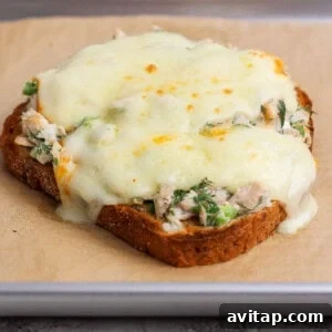 broiled healthy tuna melt with melted muenster cheese