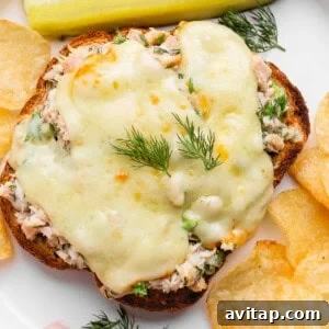 healthy tuna melt with cottage cheese served with chips and pickle