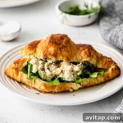 A croissant sandwich with chicken salad on a plate.